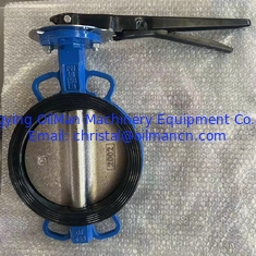 PN16 Класс 150 Гибкая железная рукоятка для корпуса вафли Бабочковный клапан для газа для воды